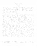 Ensayo los puros criollos