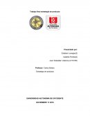 Trabajo final estrategia de producto Sándwich Qbano