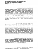 Amparo directo delitos contra la salud