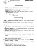 Ficha del Sustantivo