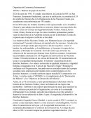 Balance del papel de la ONU