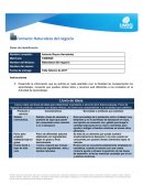 Naturaleza del negocio