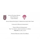 Planes de Negocios Internacionales Fase 1 del proyecto: análisis situacional de la empresa