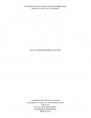 Conflicto sociambientalismo