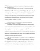 Explique en que forma inciden en el desempeño de una organización los diagramas de flujo y los mapas de proceso