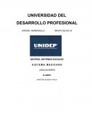 MATERIA: SISTEMAS SOCIALES