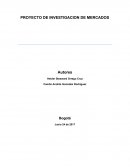 PROYECTO DE INVESTIGACION DE MERCADOS