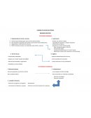 CADENA DE VALOR EN HOTELES BRINDAR SERVICIOS