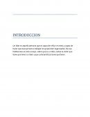 Ensayo que es un lider