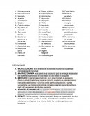 Definición conceptos microeconomia