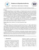 Licenciatura en Sistemas Eléctricos y Automatización-Universidad Tecnológica de Panamá