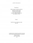 Cabildo indígena Chibkariwak