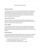 Análisis de una Empresa del Estado Definición del Problema