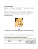 Química en la maduración de los quesos