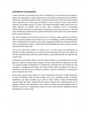 Importancia de la filosofía en mi vida - Actividad de metacognición