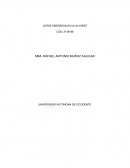 Taller COMESTIBLES ALDOR S.A.