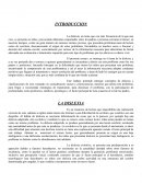 Ensayo dislexia