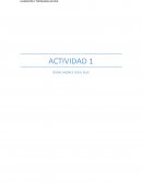 Actividad de redes de informacion