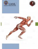 PIA-SIS-RESPIRATORIO