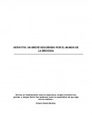 HEPATITIS. UN BREVE RECORRIDO POR EL MUNDO DE LA MEDICINA