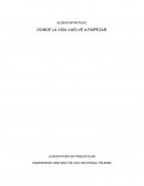 Aldeas infantiles: donde la vida vuelve a empezar