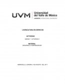 DESAROLLO EMPRENDEDOR DENISS UVM ACTIVIDAD