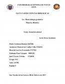 Tema: clonación animal