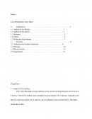 Caso mini markets anne marie