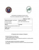 PROGRAMACION Actividad individual