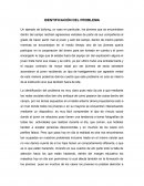 IDENTIFICACIÓN DEL PROBLEMA Un ejemplo de bullying, un caso en particular