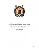 Actividad Económica . Turismo. Industria