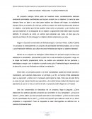 LINEA DE BASE, FINALIDAD Y CARACTERISTICAS