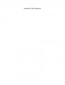 Laboratorio Cultivo Bacteriano