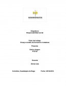 Ensayo modelo de formación ciudadana