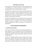 Problemática seleccionada