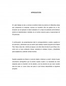 Los precios en diferentes áreas que comprende la empresa