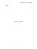 Axiomas de la Comunicación Comunicación Organizacional