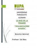 LA BASE DE LA PIRÁMIDE “Una oportunidad invisible”