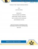 Evidencia 2: Taller, Cubicaje Contenedores Marítimos