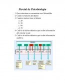 Parcial de Psicobiología