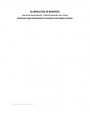 ELABORACIÓN DE BIODIESEL