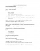 CLASE N° 3 – REGION PLEUROPULMONAR