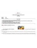 DISEÑO ORGANIZACIONAL Y PROCESOS (AD170)