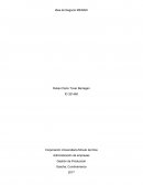 Establecer una óptima cadena de suministros y entender su correcto funcionamiento, también definir una correcta estrategia para el lanzamiento del nuevo producto