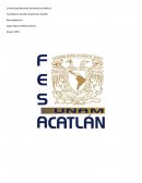 MERCADOTECNIA ¿Cómo nacen los gigantes?