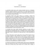 FUNCIONES DE LA UNIVERSIDAD