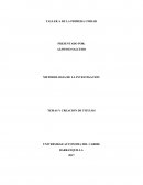 METODOLOGIA DE LA INVESTIGACION TEMAS Y CREACION DE TITULOS