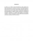 La célula y sus funciones. La Célula, es la unidad de vida más pequeña que existe