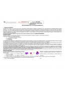 PRÁCTICA Nº 8 RECONOCIMIENTO DE LA ACTIVIDAD ENZIMÁTICA