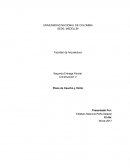 Pisos de caucho y vinilo